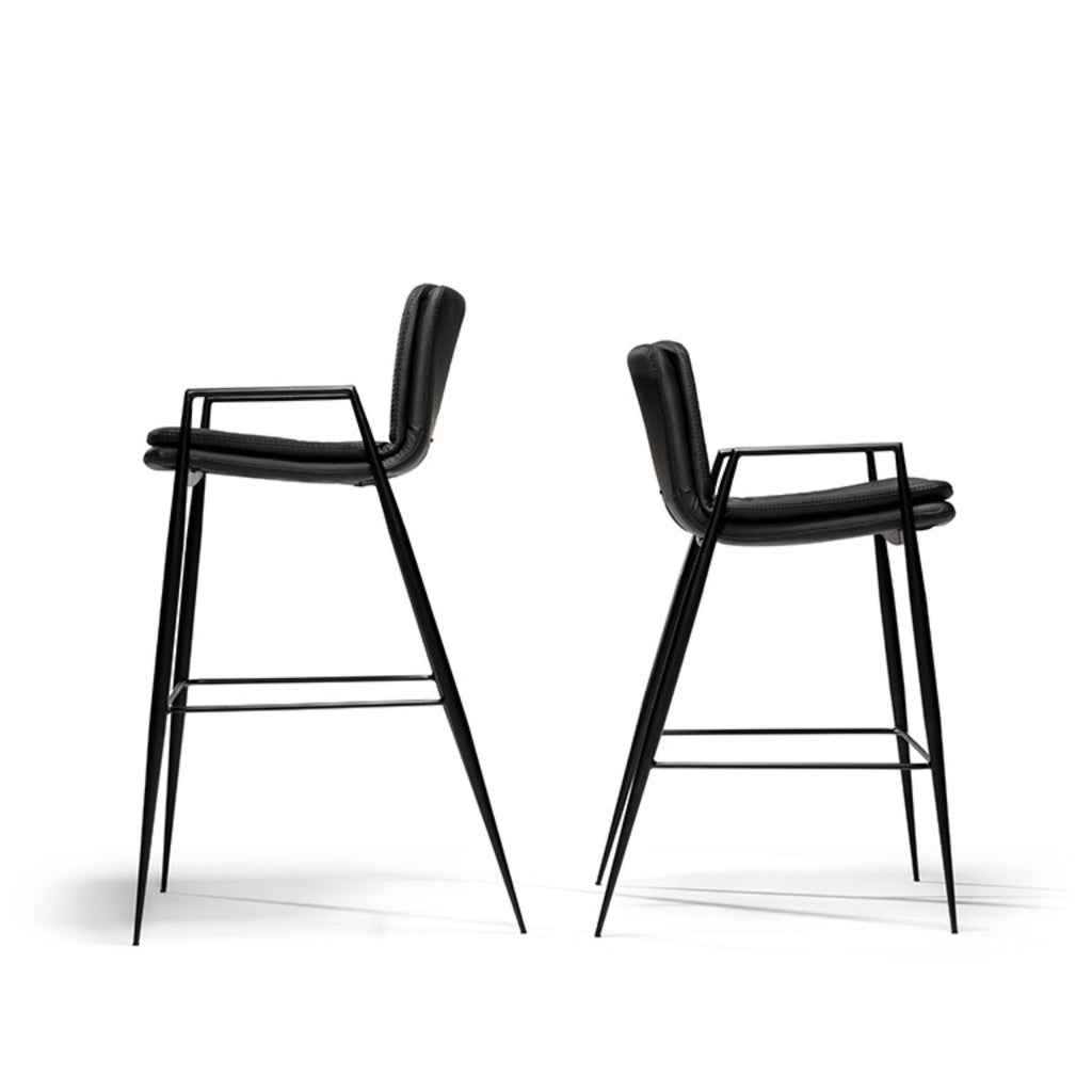 Banqueta Seriema